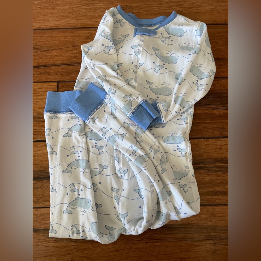 Tbbc whale night nights